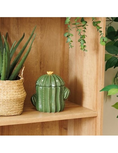 OGGETTISTICA: vendita online Scatola Decorativa Yucatan in Ceramica Dolomite Verde, 15,5 x 11 x 16 cm in offerta
