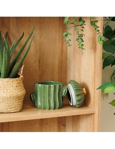 OGGETTISTICA: vendita online Scatola Decorativa Yucatan in Ceramica Dolomite Verde, 15,5 x 11 x 16 cm in offerta