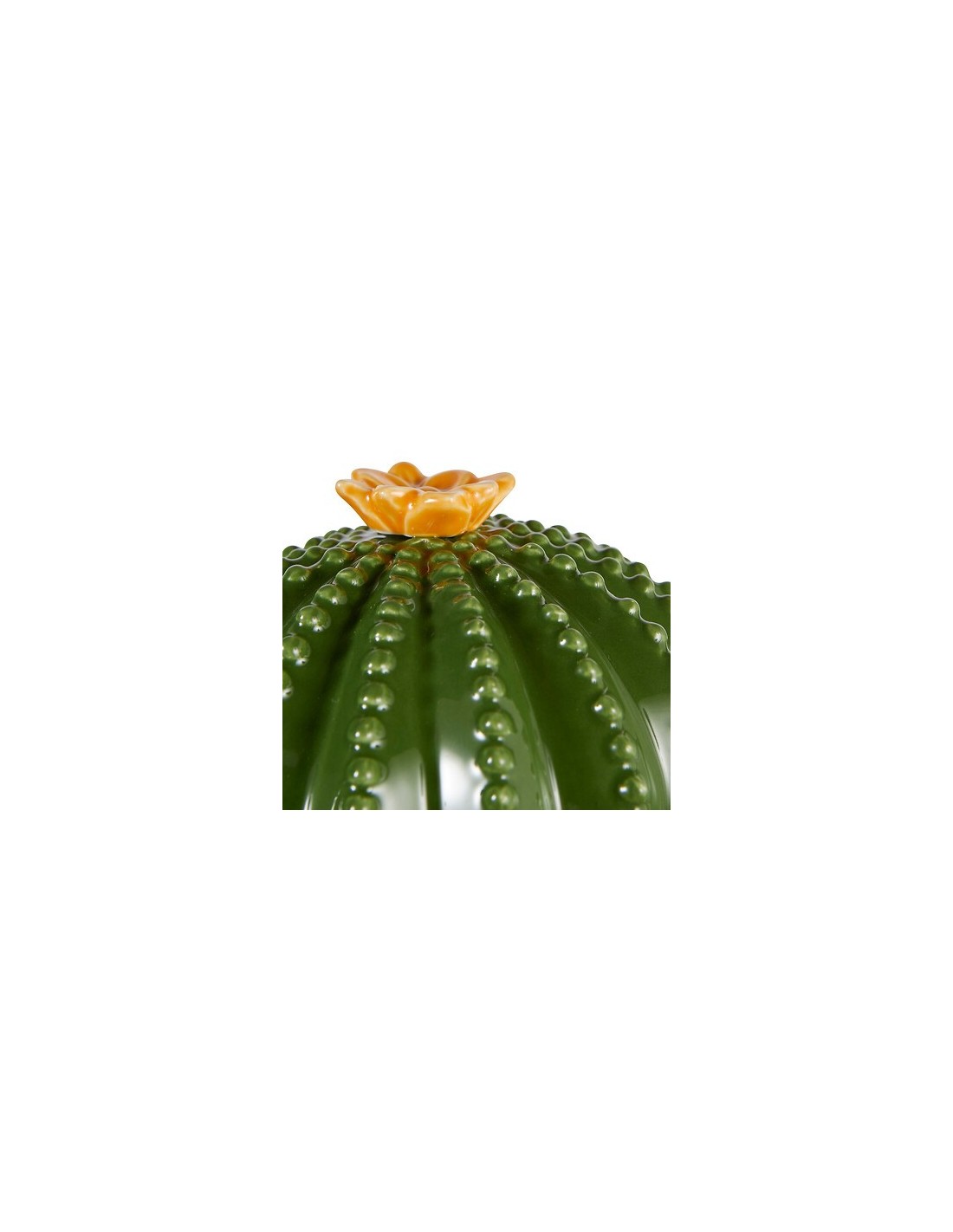 OGGETTISTICA: vendita online Scatola Decorativa Yucatan in Ceramica Dolomite Verde, 15,5 x 11 x 16 cm in offerta