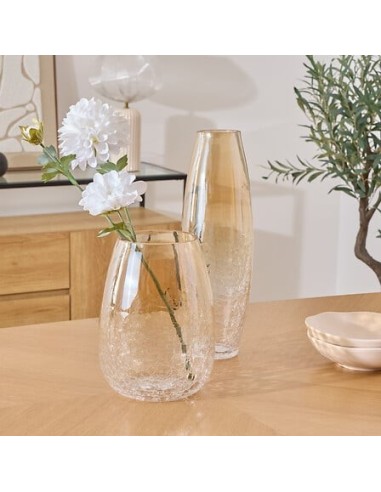 VASI D'ARREDO: vendita online Vaso, vetro craquelé, Alexis, trasparente, D.19 x H.25 cm in offerta