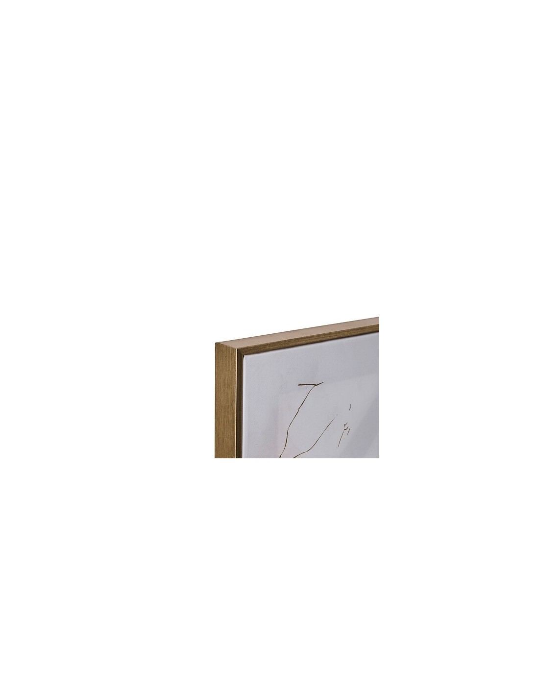 QUADRI E DECORO PARETE: vendita online Tela, stampata, Hilo, farfalla, 60x60 cm, assortita, dorato metallizzato in offerta