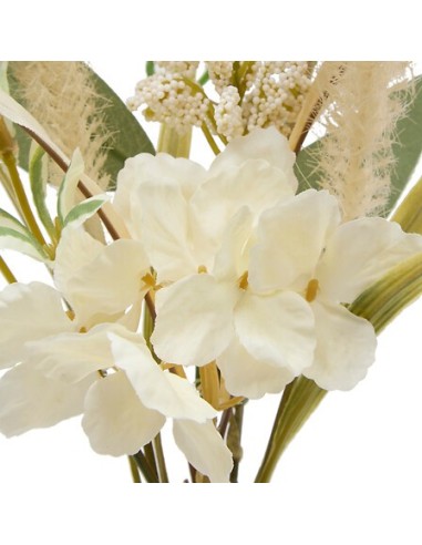 PIANTE E FIORI CON VASO: vendita online Composizione fiori secchi, Dibia, altezza 35 cm, con vaso ceramica assortito, 15 x 9 ...