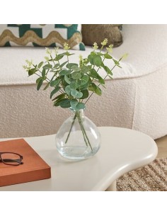 PIANTE E FIORI CON VASO: vendita online Composizione eucalipto, Urice, altezza 35 cm, vaso in vetro trasparente, 20 x 20 x 35...