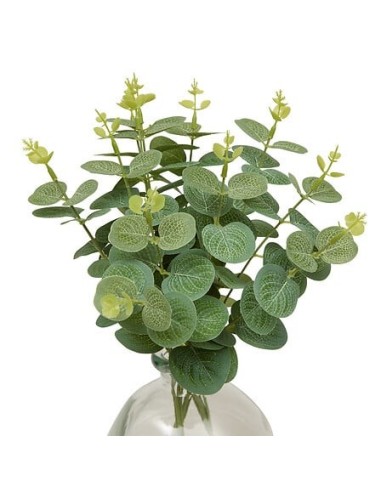 PIANTE E FIORI CON VASO: vendita online Composizione eucalipto, Urice, altezza 35 cm, vaso in vetro trasparente, 20 x 20 x 35...