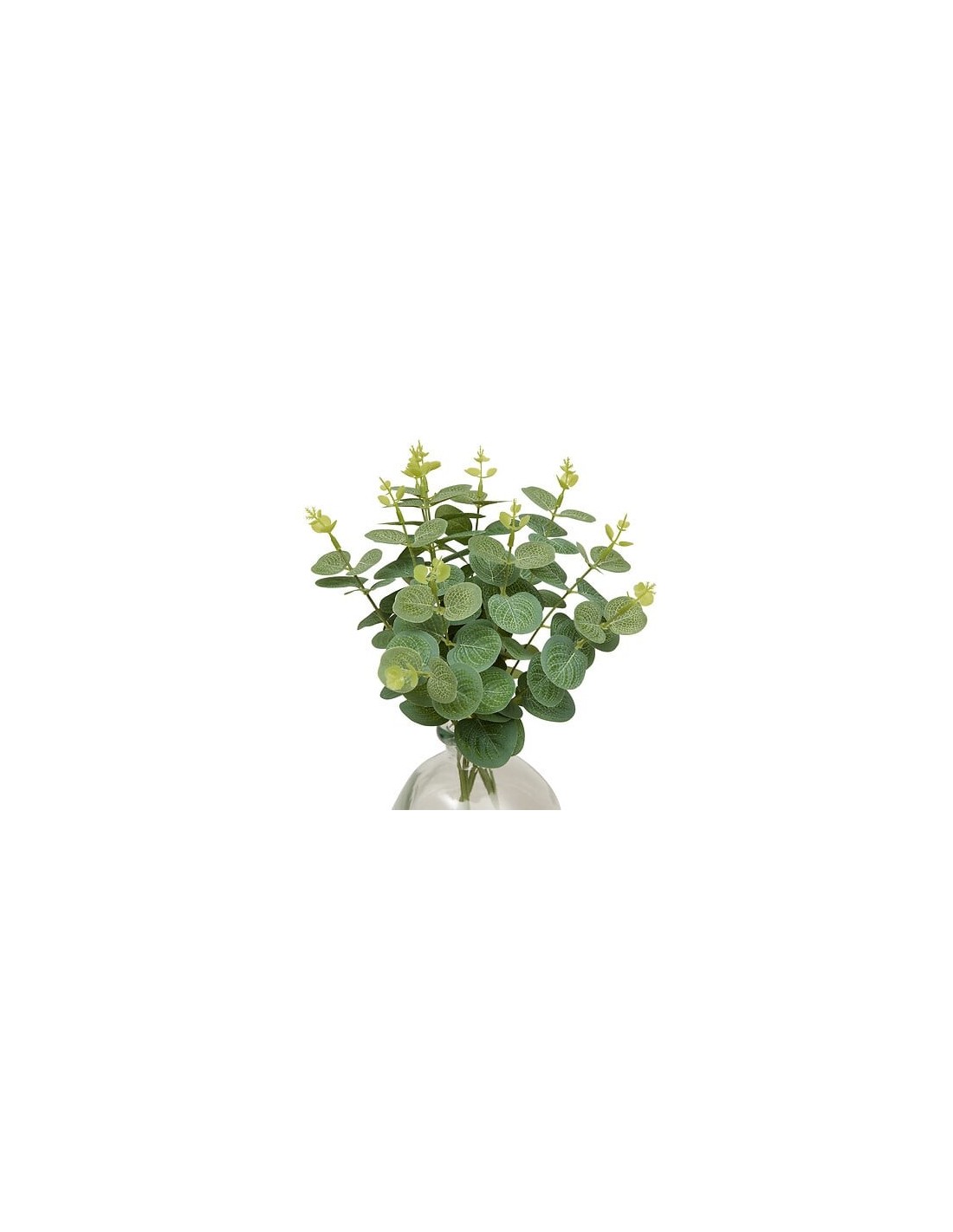 PIANTE E FIORI CON VASO: vendita online Composizione eucalipto, Urice, altezza 35 cm, vaso in vetro trasparente, 20 x 20 x 35...