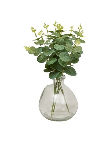 PIANTE E FIORI CON VASO: vendita online Composizione eucalipto, Urice, altezza 35 cm, vaso in vetro trasparente, 20 x 20 x 35...