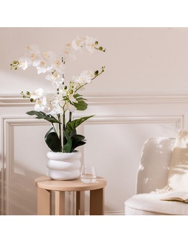 PIANTE E FIORI CON VASO: vendita online Orchidea artificiale Mick, altezza 80 cm, vaso ceramica bianco, 65 x 55 x 80 cm in of...