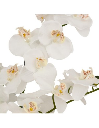 PIANTE E FIORI CON VASO: vendita online Orchidea artificiale Mick, altezza 80 cm, vaso ceramica bianco, 65 x 55 x 80 cm in of...