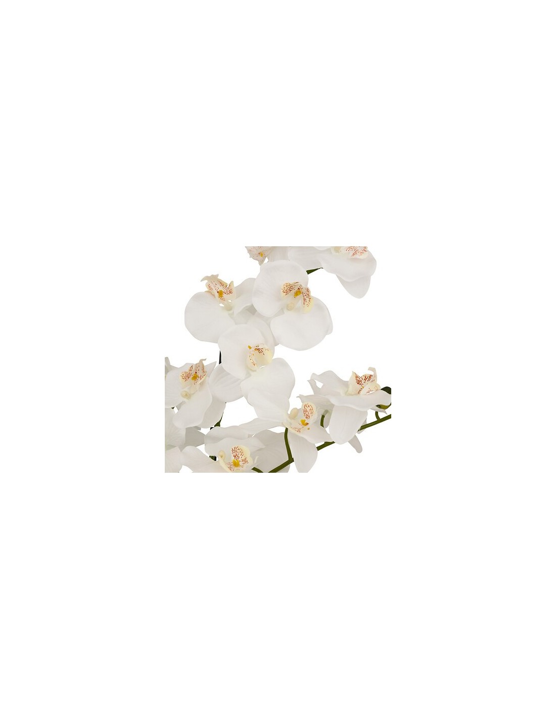 PIANTE E FIORI CON VASO: vendita online Orchidea artificiale Mick, altezza 80 cm, vaso ceramica bianco, 65 x 55 x 80 cm in of...