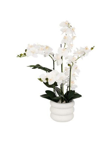 PIANTE E FIORI CON VASO: vendita online Orchidea artificiale Mick, altezza 80 cm, vaso ceramica bianco, 65 x 55 x 80 cm in of...