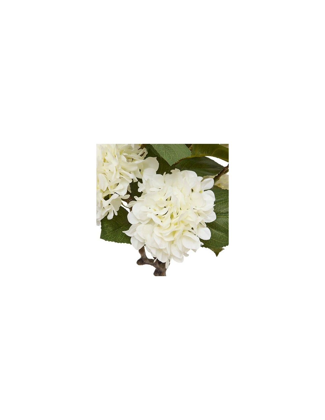 PIANTE E FIORI CON VASO: vendita online Ortensia artificiale Mika, bianca, altezza 100 cm, vaso ceramica, 40 x 40 x 100 cm in...