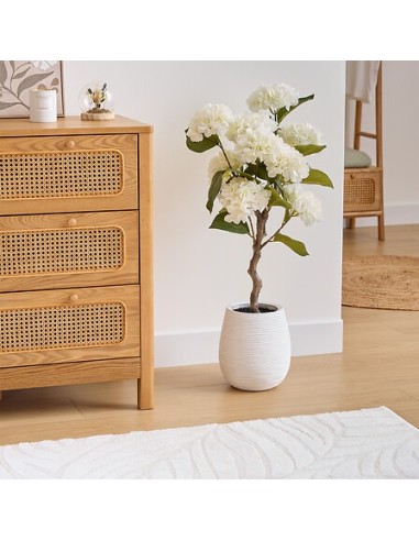 PIANTE E FIORI CON VASO: vendita online Ortensia artificiale Mika, bianca, altezza 100 cm, vaso ceramica, 40 x 40 x 100 cm in...