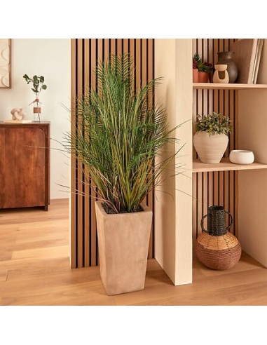 PIANTE E FIORI CON VASO: vendita online Palma artificiale, con vaso in ceramica beige, multicolore, altezza 142 cm, 60 x 60 x...