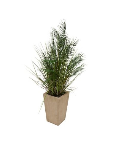 PIANTE E FIORI CON VASO: vendita online Palma artificiale, con vaso in ceramica beige, multicolore, altezza 142 cm, 60 x 60 x...