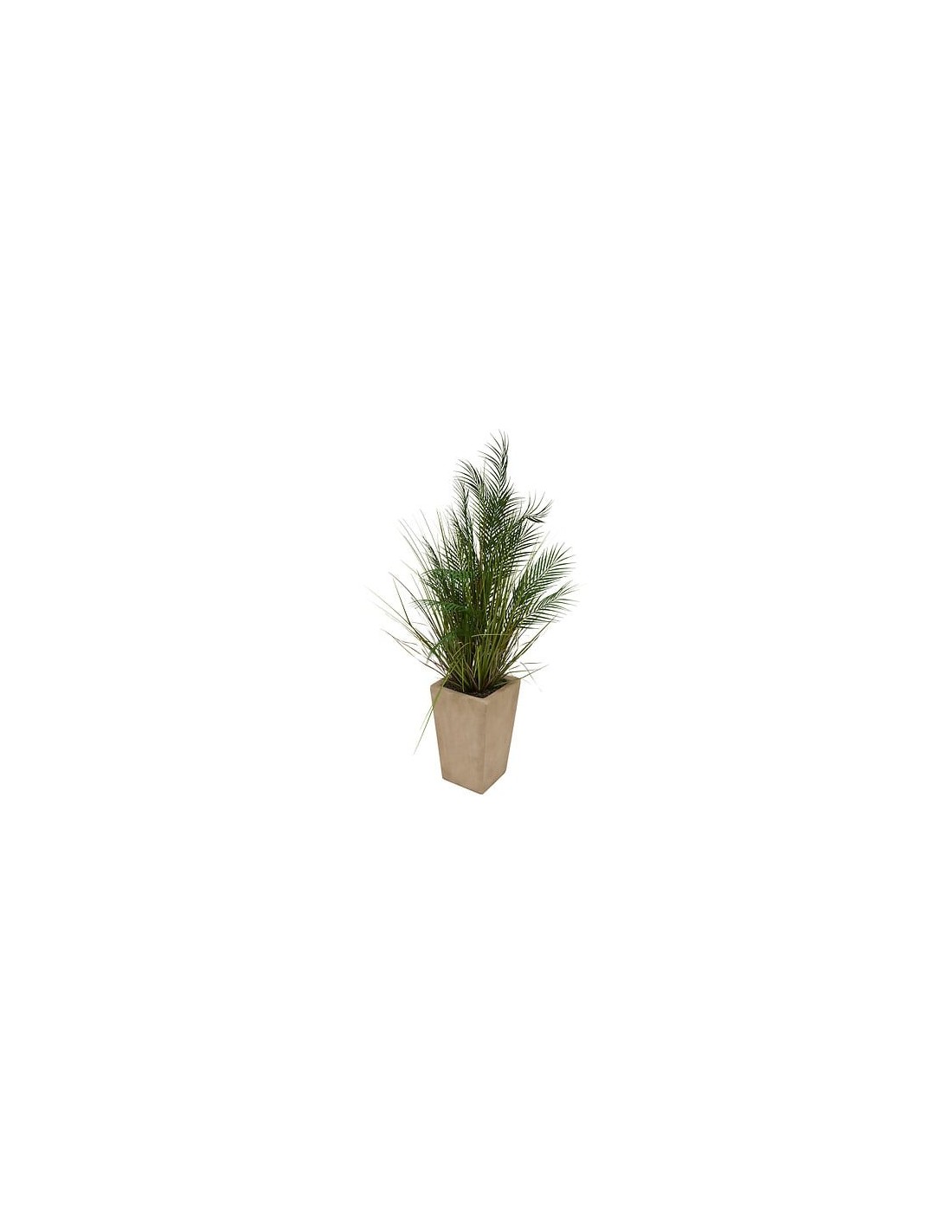 PIANTE E FIORI CON VASO: vendita online Palma artificiale, con vaso in ceramica beige, multicolore, altezza 142 cm, 60 x 60 x...