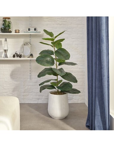 PIANTE E FIORI CON VASO: vendita online Ficus artificiale, con vaso in ceramica scanalata, multicolore, altezza 145 cm, 58 x ...