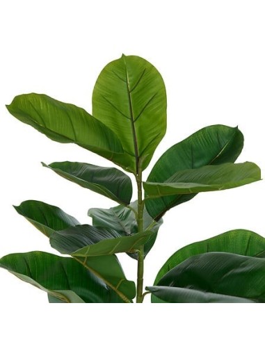 PIANTE E FIORI CON VASO: vendita online Ficus artificiale, con vaso in ceramica scanalata, multicolore, altezza 145 cm, 58 x ...