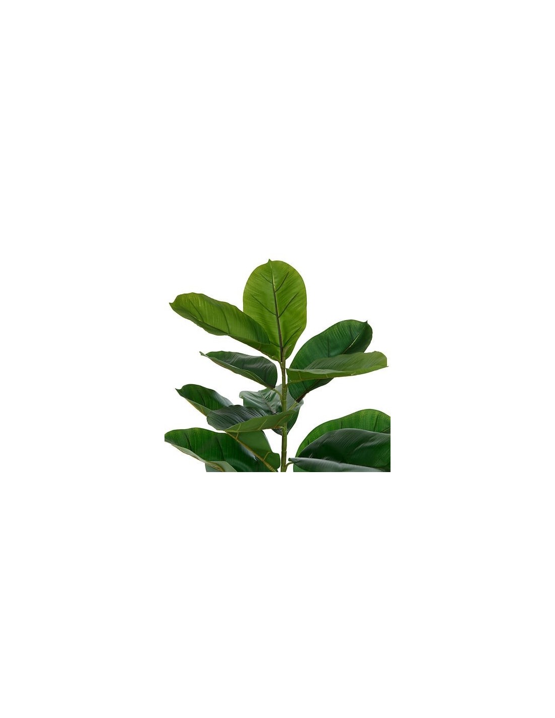 PIANTE E FIORI CON VASO: vendita online Ficus artificiale, con vaso in ceramica scanalata, multicolore, altezza 145 cm, 58 x ...