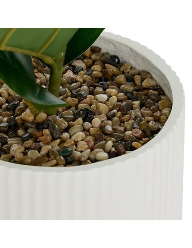 PIANTE E FIORI CON VASO: vendita online Ficus artificiale, con vaso in ceramica scanalata, multicolore, altezza 145 cm, 58 x ...