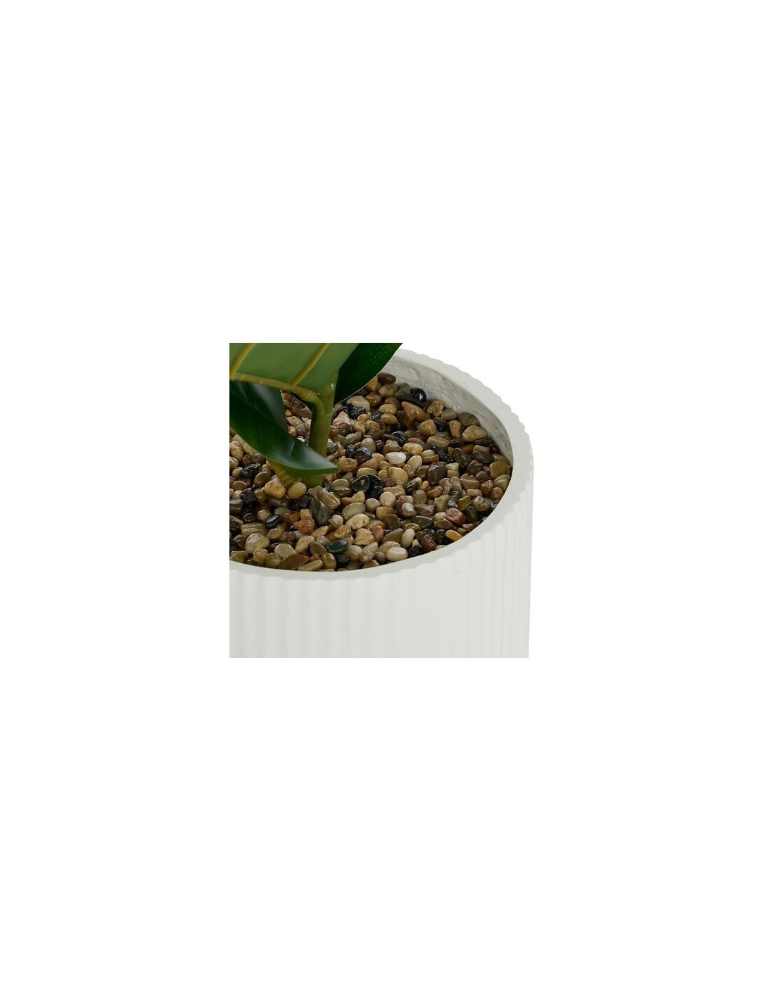 PIANTE E FIORI CON VASO: vendita online Ficus artificiale, con vaso in ceramica scanalata, multicolore, altezza 145 cm, 58 x ...