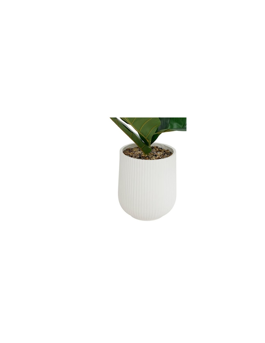PIANTE E FIORI CON VASO: vendita online Ficus artificiale, con vaso in ceramica scanalata, multicolore, altezza 145 cm, 58 x ...