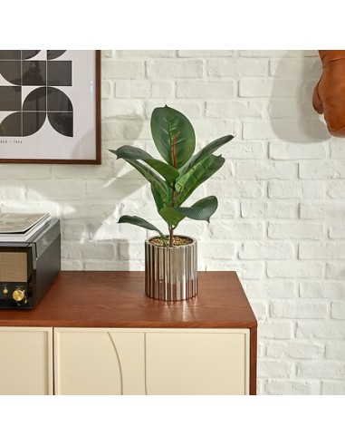 PIANTE E FIORI CON VASO: vendita online Ficus artificiale, con vaso in ceramica argentata, multicolore, altezza 54 cm, 34 x 3...