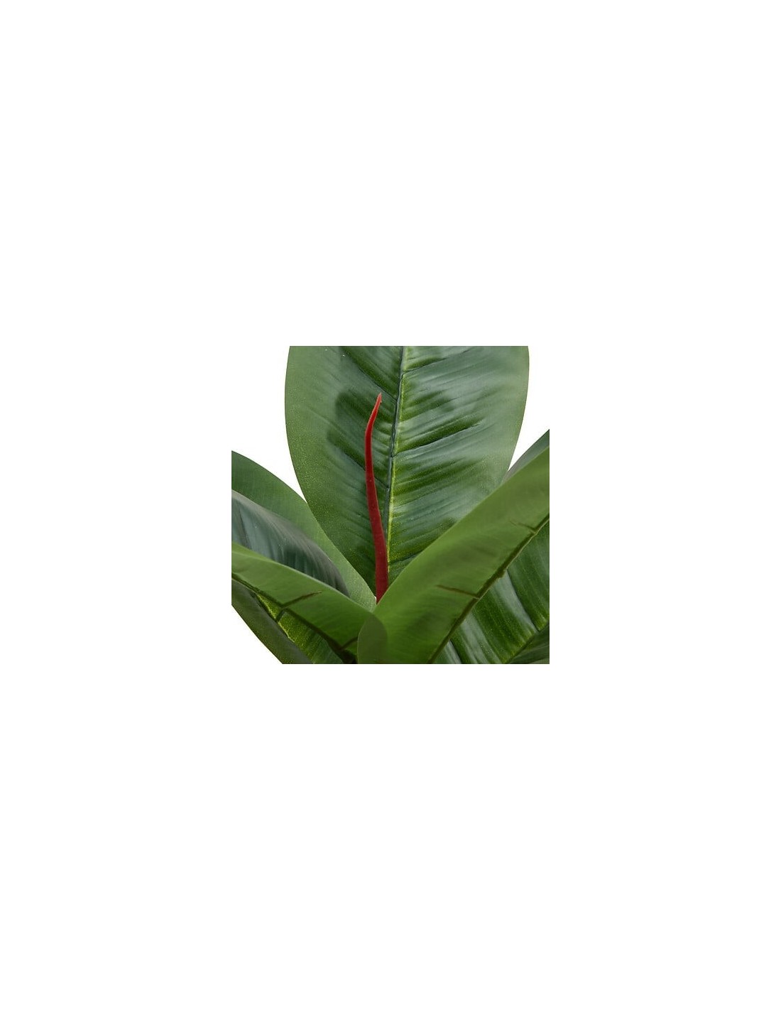 PIANTE E FIORI CON VASO: vendita online Ficus artificiale, con vaso in ceramica argentata, multicolore, altezza 54 cm, 34 x 3...