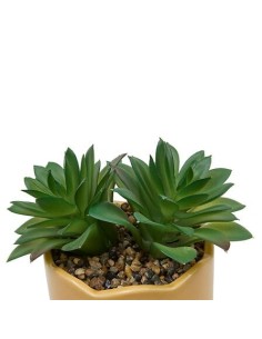 PIANTE E FIORI CON VASO: vendita online Pianta perenne, Chéri, H. 17 cm, vaso in ceramica assortito, 13 x 10 x 14,5 cm in off...