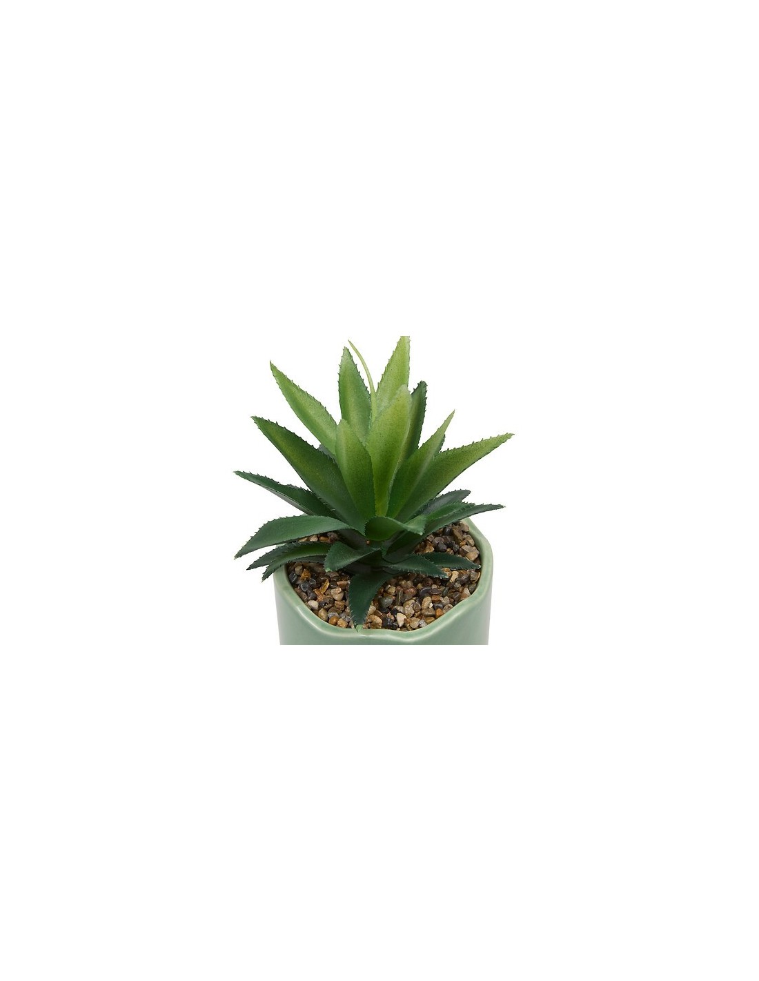 PIANTE E FIORI CON VASO: vendita online Pianta perenne, Chéri, H. 17 cm, vaso in ceramica assortito, 13 x 10 x 14,5 cm in off...