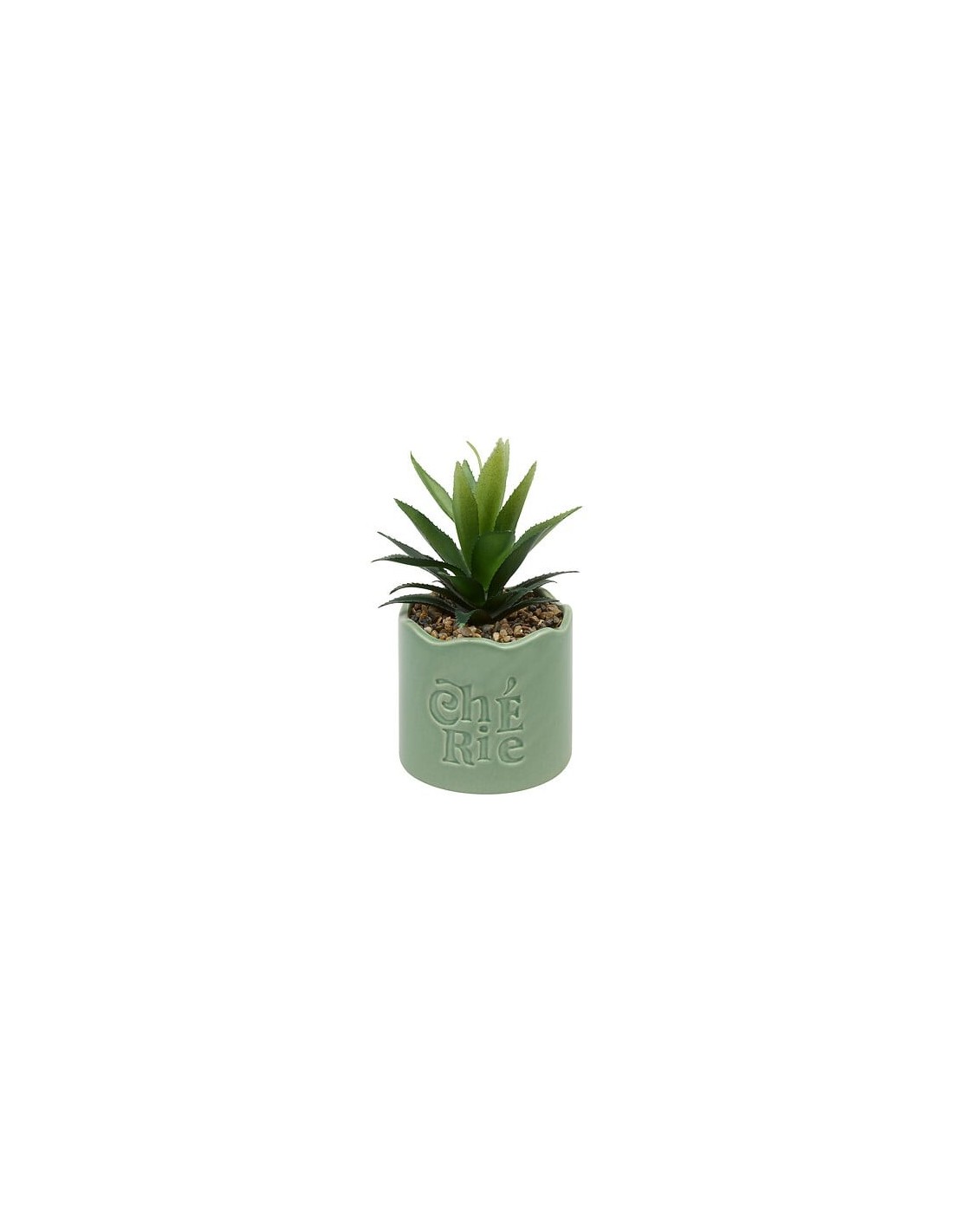 PIANTE E FIORI CON VASO: vendita online Pianta perenne, Chéri, H. 17 cm, vaso in ceramica assortito, 13 x 10 x 14,5 cm in off...