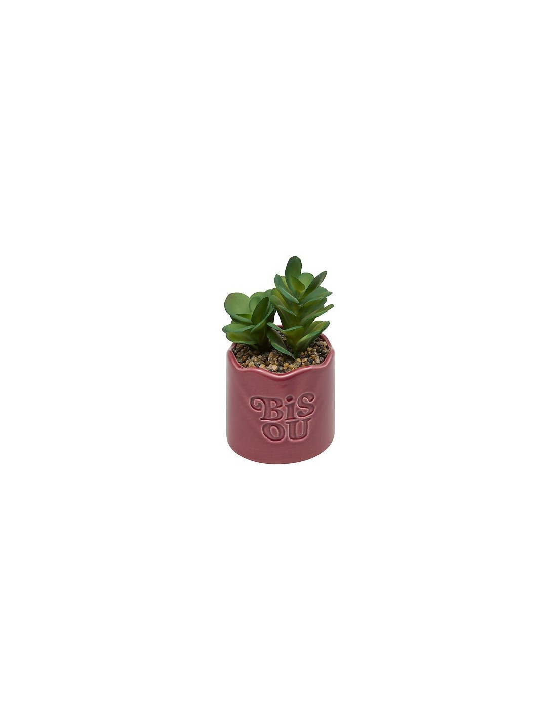 PIANTE E FIORI CON VASO: vendita online Pianta perenne, Chéri, H. 17 cm, vaso in ceramica assortito, 13 x 10 x 14,5 cm in off...