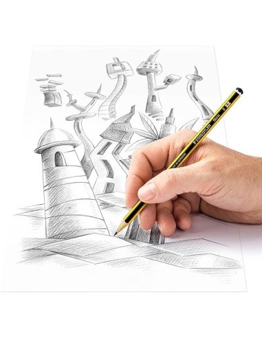 Staedtler Matite B 2 Pezzi BK2D – Scrittura e Disegno | Shopincasa.it