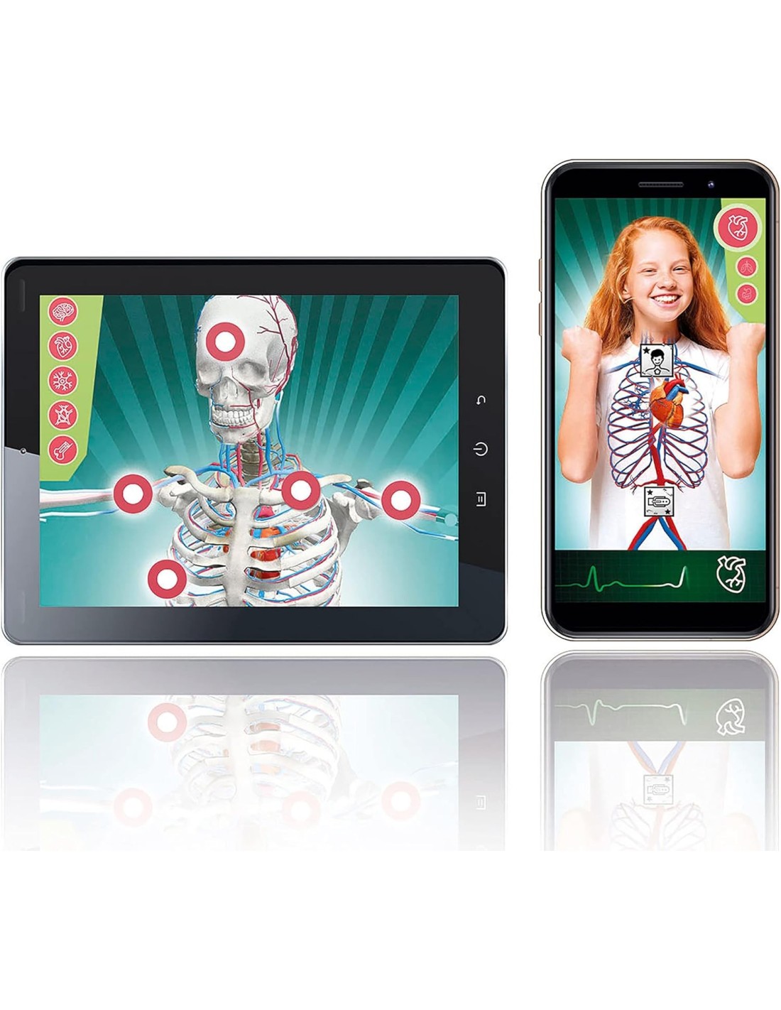 PRESCOLARI: vendita online Scienza e Gioco Super Anatomia – Kit Educativo Anatomia Umana con App AR per Ragazzi 8+ Anni in of...
