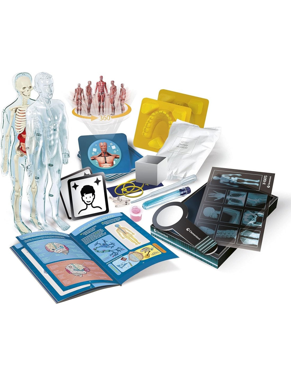 PRESCOLARI: vendita online Scienza e Gioco Super Anatomia – Kit Educativo Anatomia Umana con App AR per Ragazzi 8+ Anni in of...