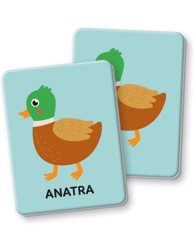PRESCOLARI: vendita online Clementoni Primo Memo Flashcards – Carte Educative per la Memoria in offerta