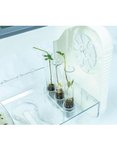 PRESCOLARI: vendita online Clementoni La Mia Serra Hi-Tech – Laboratorio Scientifico di Botanica in offerta 2