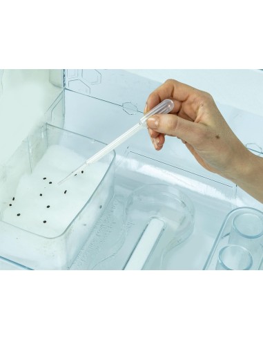 PRESCOLARI: vendita online Clementoni La Mia Serra Hi-Tech – Laboratorio Scientifico di Botanica in offerta