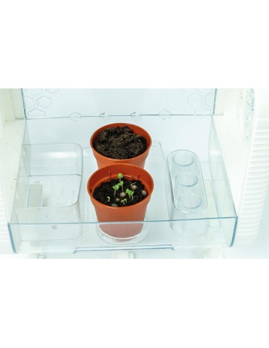 PRESCOLARI: vendita online Clementoni La Mia Serra Hi-Tech – Laboratorio Scientifico di Botanica in offerta