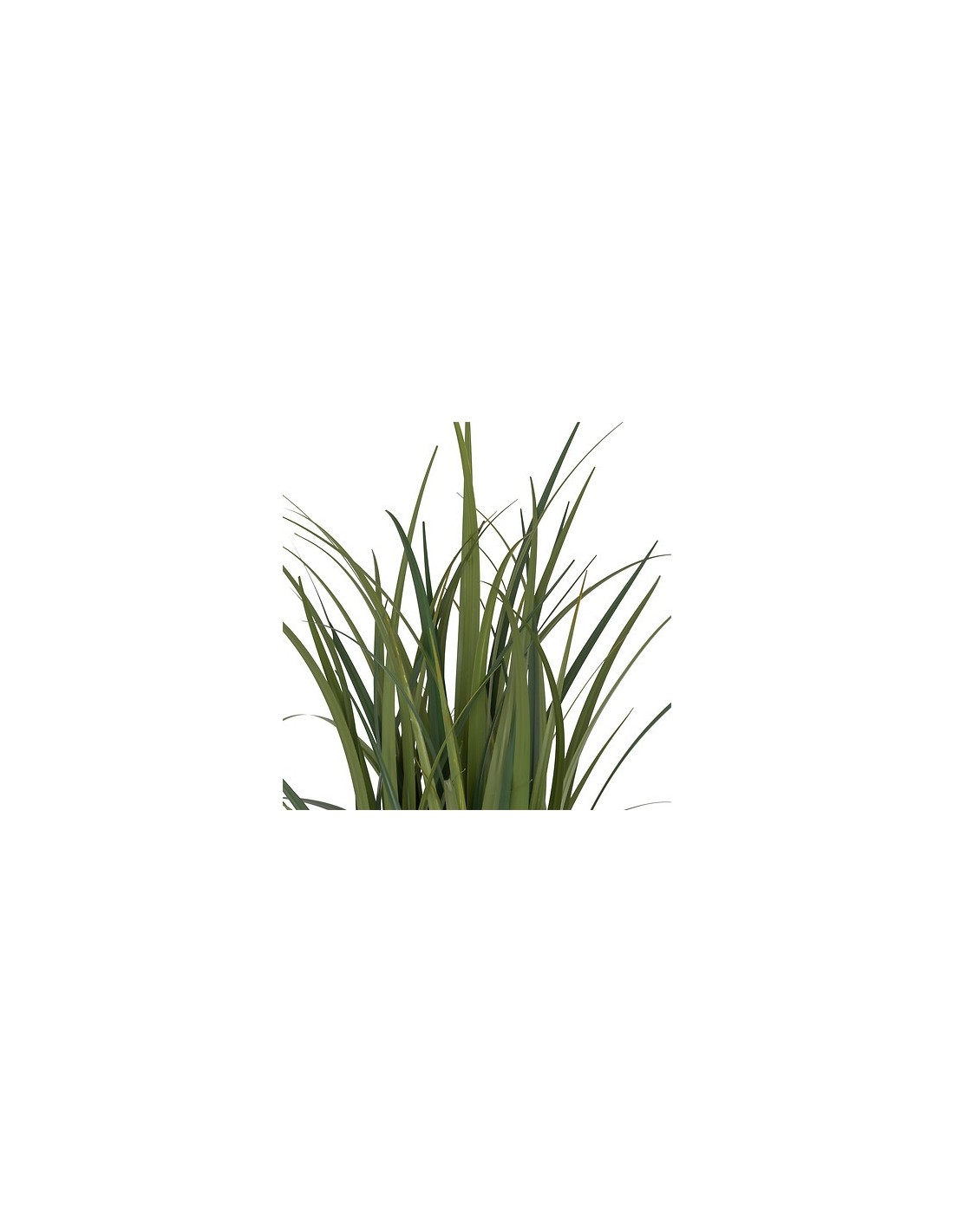 PIANTE E FIORI CON VASO: vendita online Mazzo lino Zya, alto 122 cm, verde, vaso fibre naturali, dimensioni 96x96x122 cm in o...