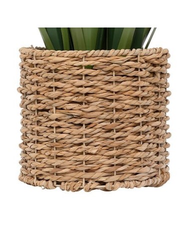 PIANTE E FIORI CON VASO: vendita online Mazzo lino Zya, alto 122 cm, verde, vaso fibre naturali, dimensioni 96x96x122 cm in o...