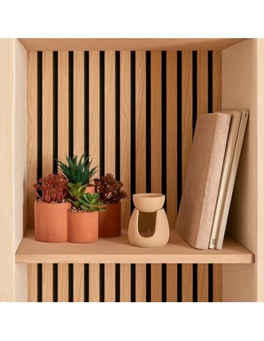 PIANTE E FIORI CON VASO: vendita online Pianta grassa Wonj, altezza 20 cm, vaso in terracotta, collezione Wonja in offerta