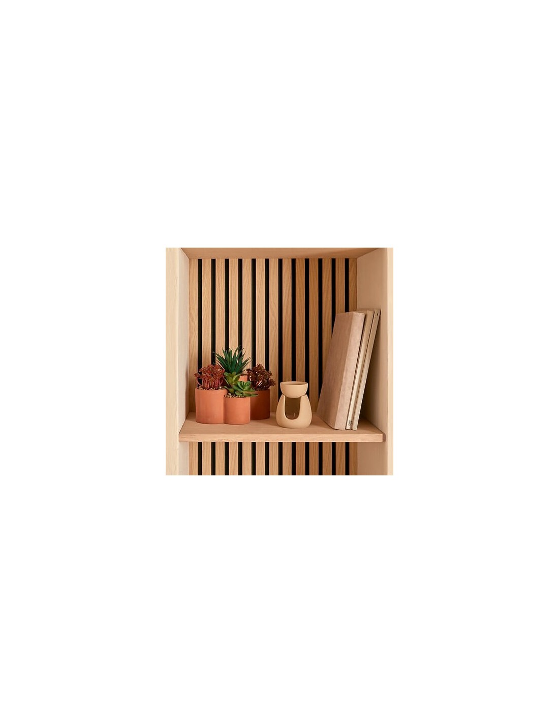 PIANTE E FIORI CON VASO: vendita online Pianta grassa Wonj, altezza 20 cm, vaso in terracotta, collezione Wonja in offerta