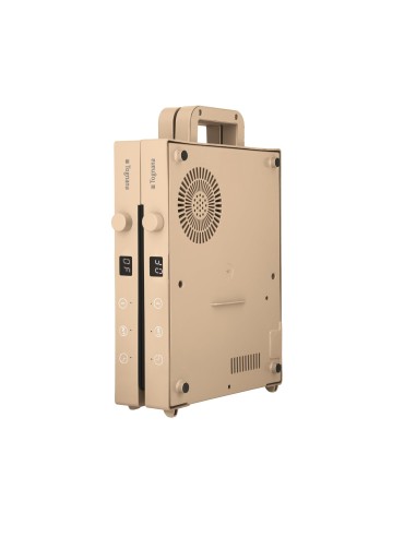 FORNI E MICROONDE: vendita online Piastra Induzione Doppia Portatile, Iridea Champagne, 3500W, Timer 99 Min, Display Digitale...