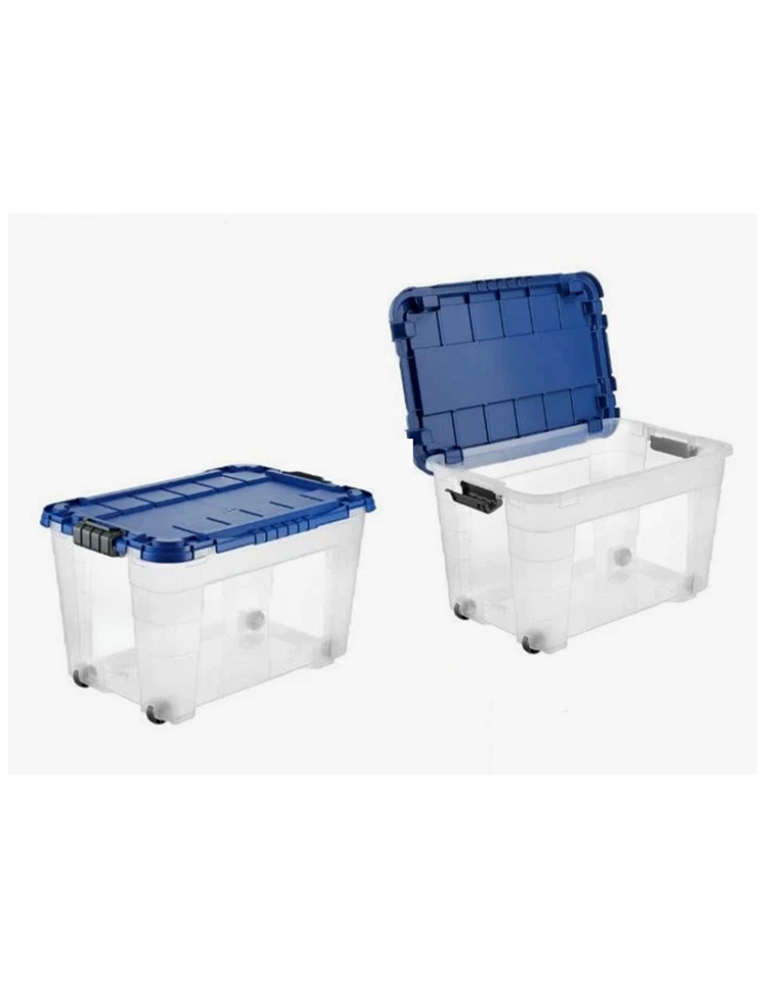 BOX 4UP 60LT CON RUOTE TRASPARENTE