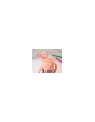 Bottiglia Allenamento Unicorno Rosa/Salvia 280ml in Acciaio Inox – Sicura e Termica