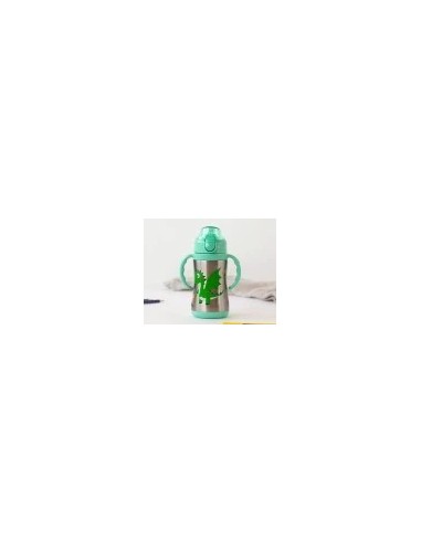 Bottiglia Allenamento Drago Verde Salvia 280ml in Acciaio Inox – Sicura e Termica