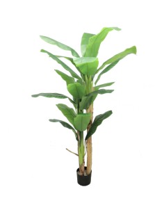 BANANO 7195 210CM