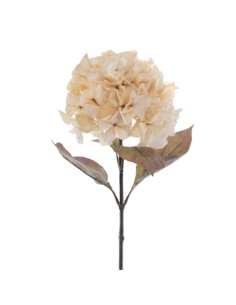 FIORE 2005-31 HYDRANGEA RUSTIC BEIGE