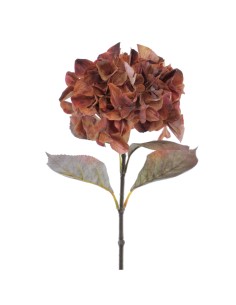 FIORE 2005-51 HYDRANGEA RUSTIC SIENA