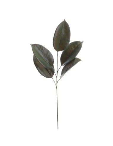 STELO 2194-09 FOGLIE DI MAGNOLIA